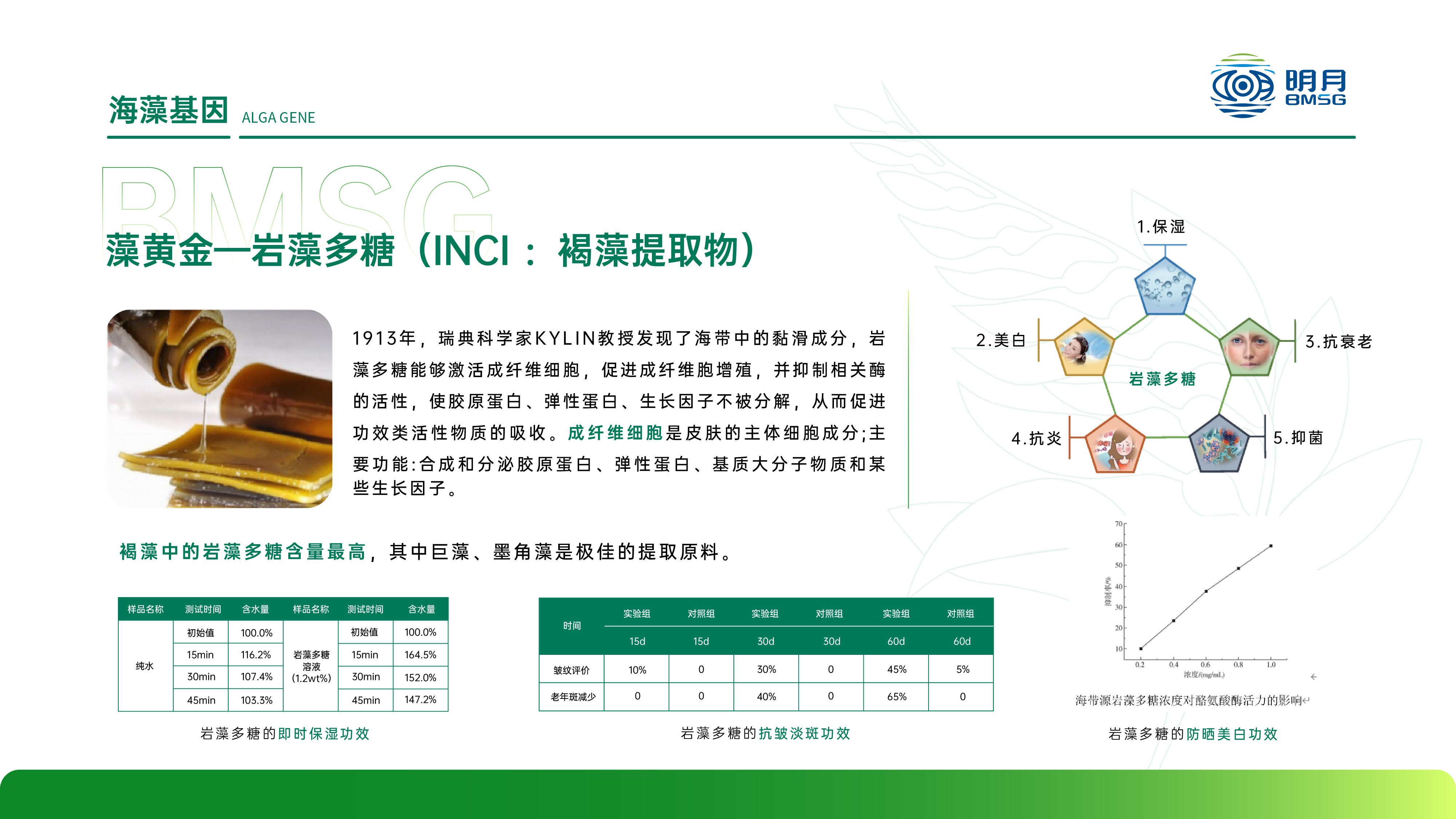 岩藻多糖藻黄金
