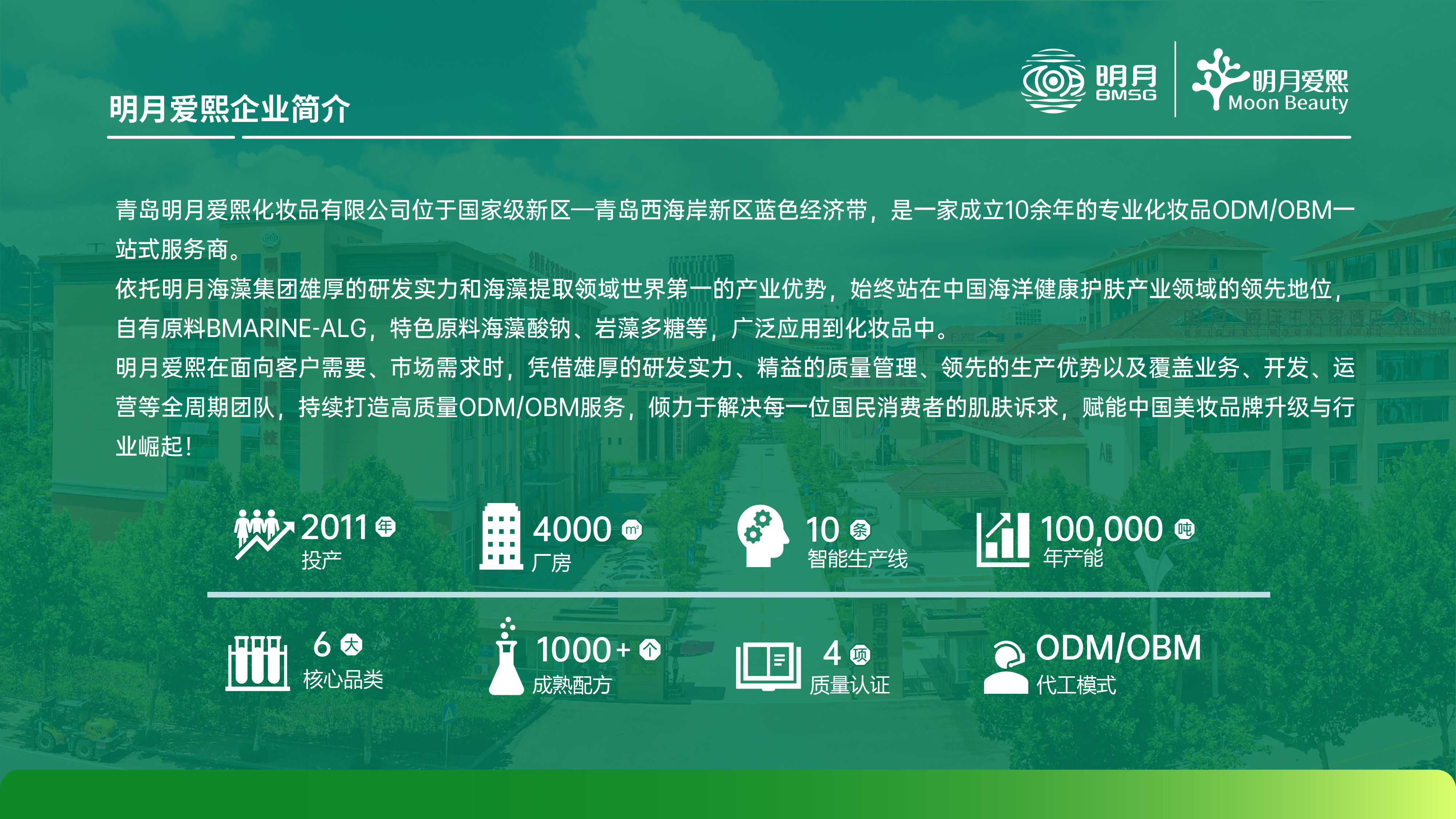 企业简介数据页