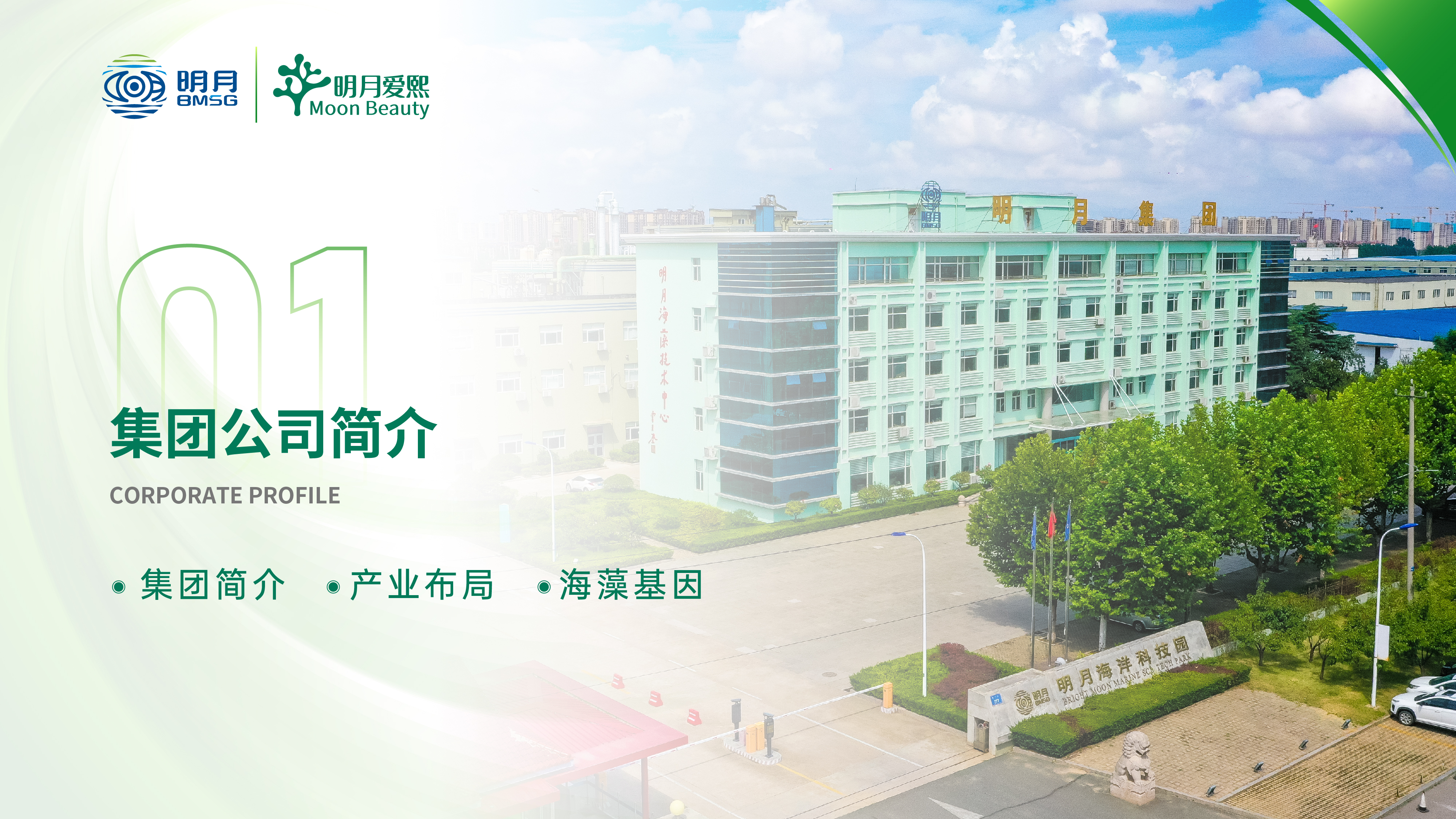 集团公司简介