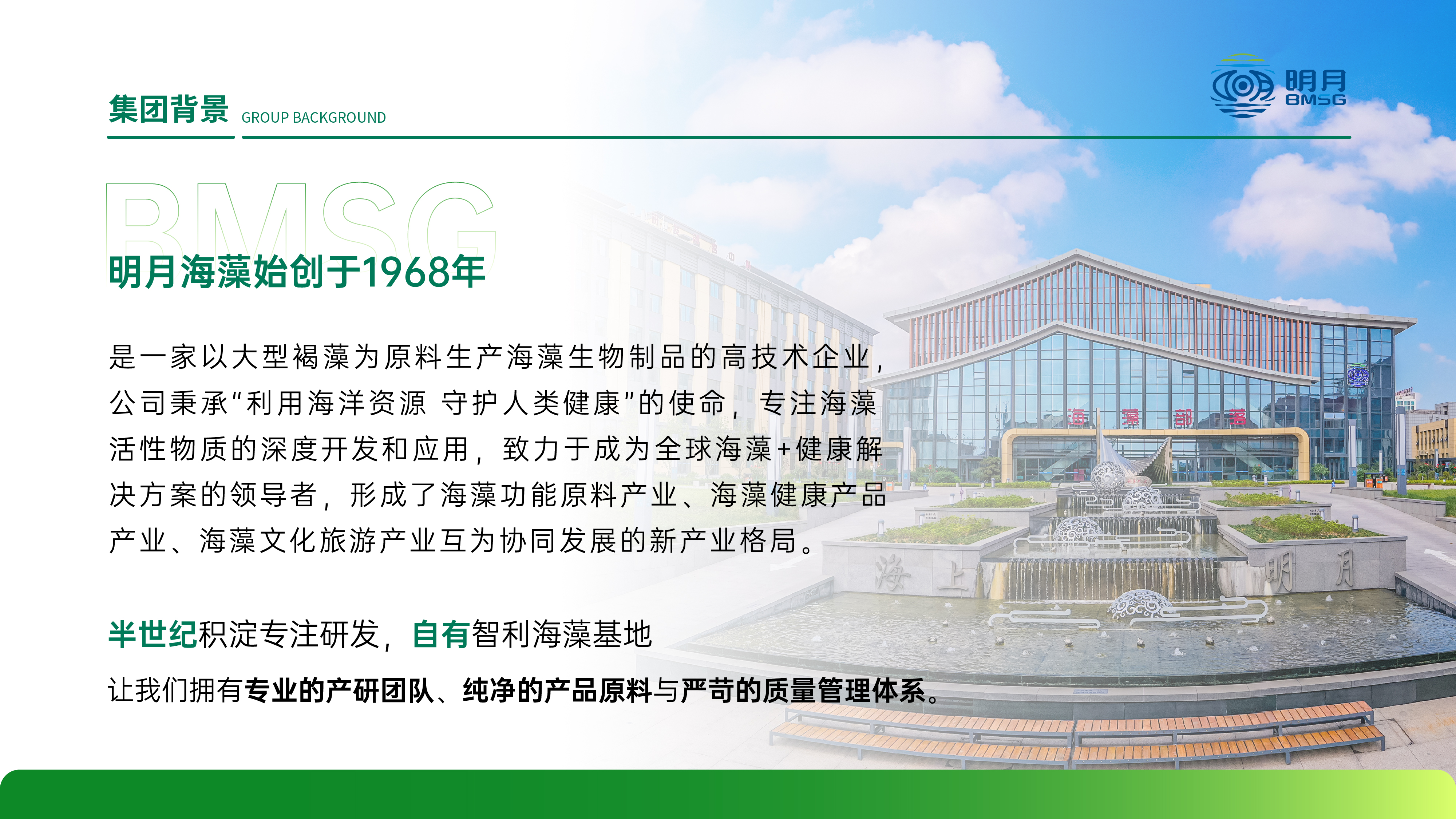 集团背景介绍