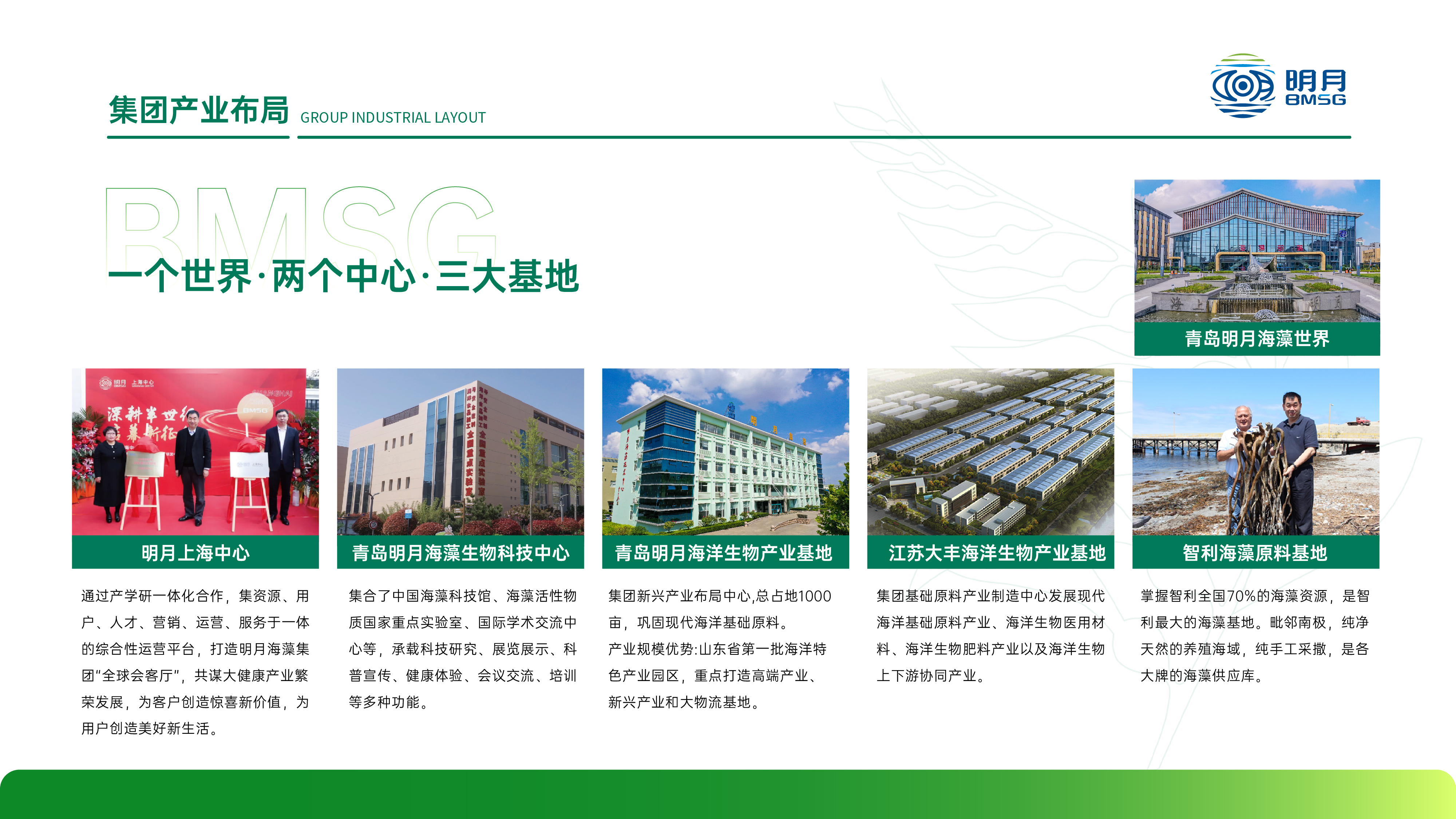 集团产业布局