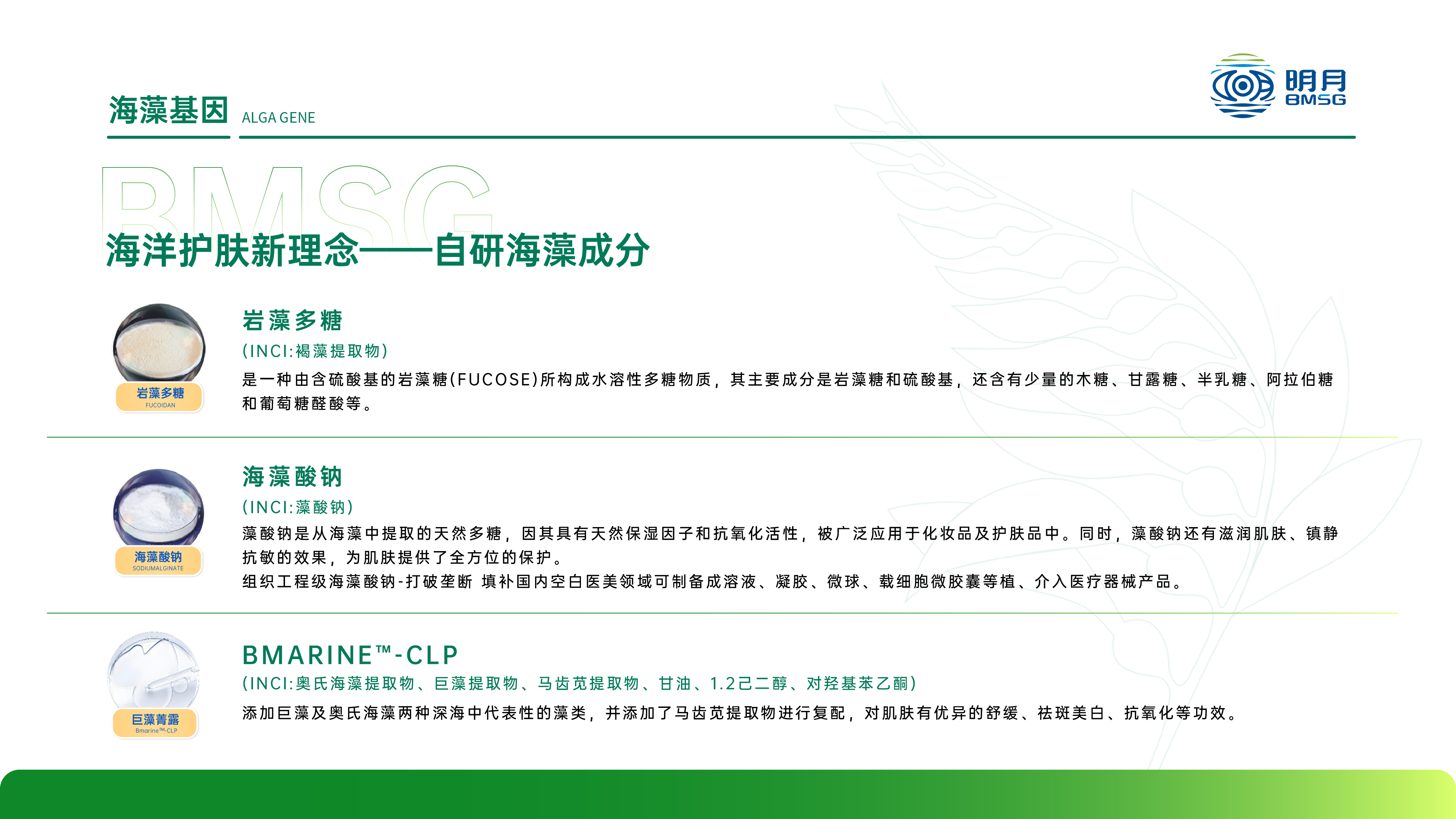 自研海藻成分