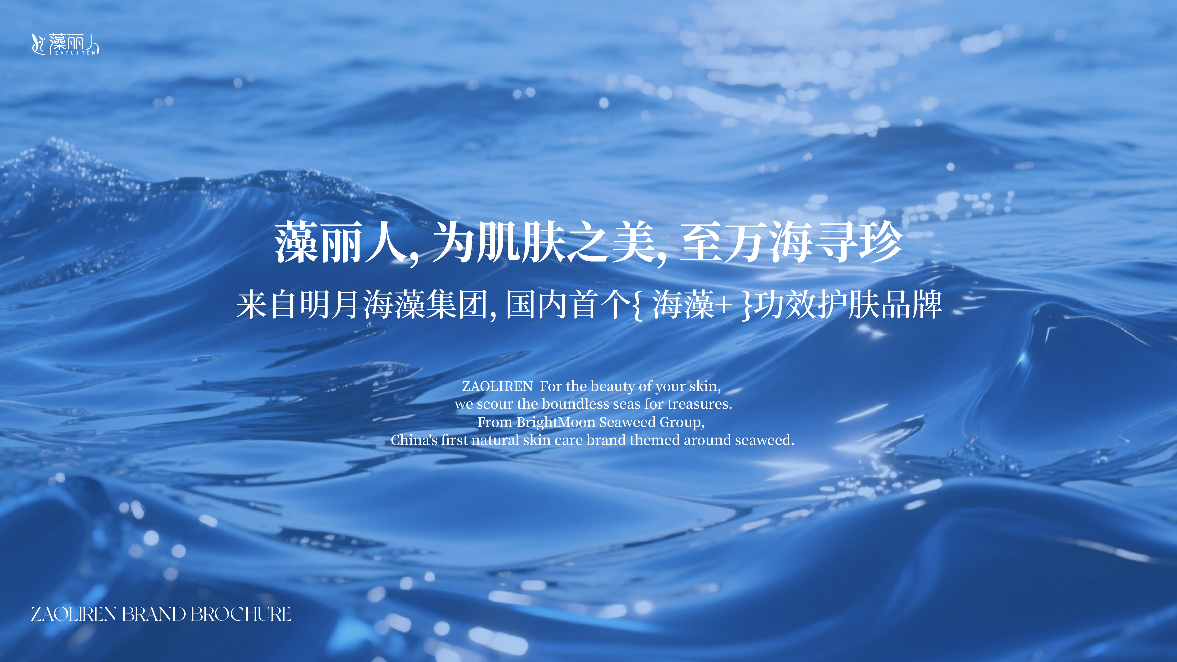 品牌主张大图