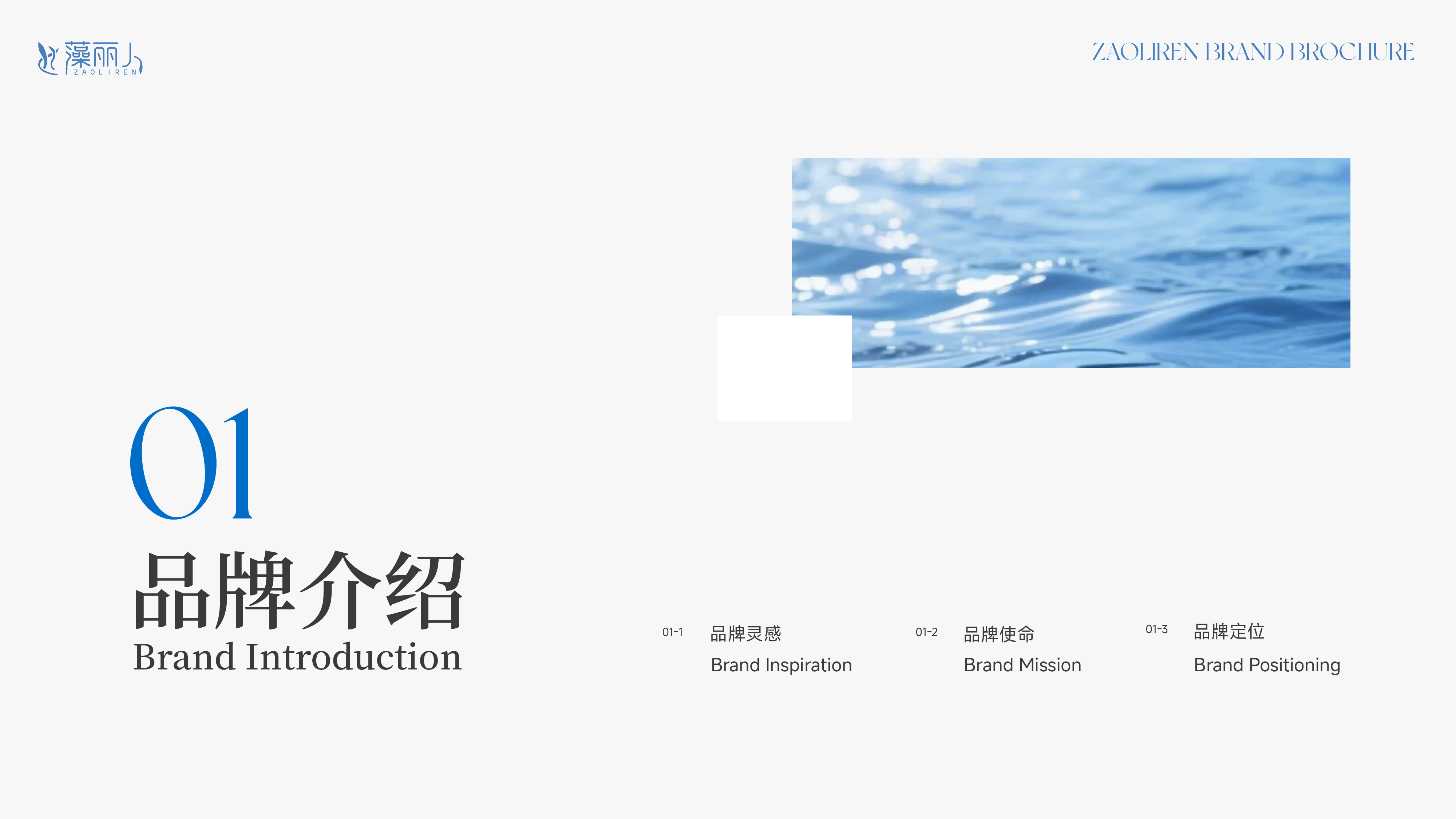 章节01品牌介绍