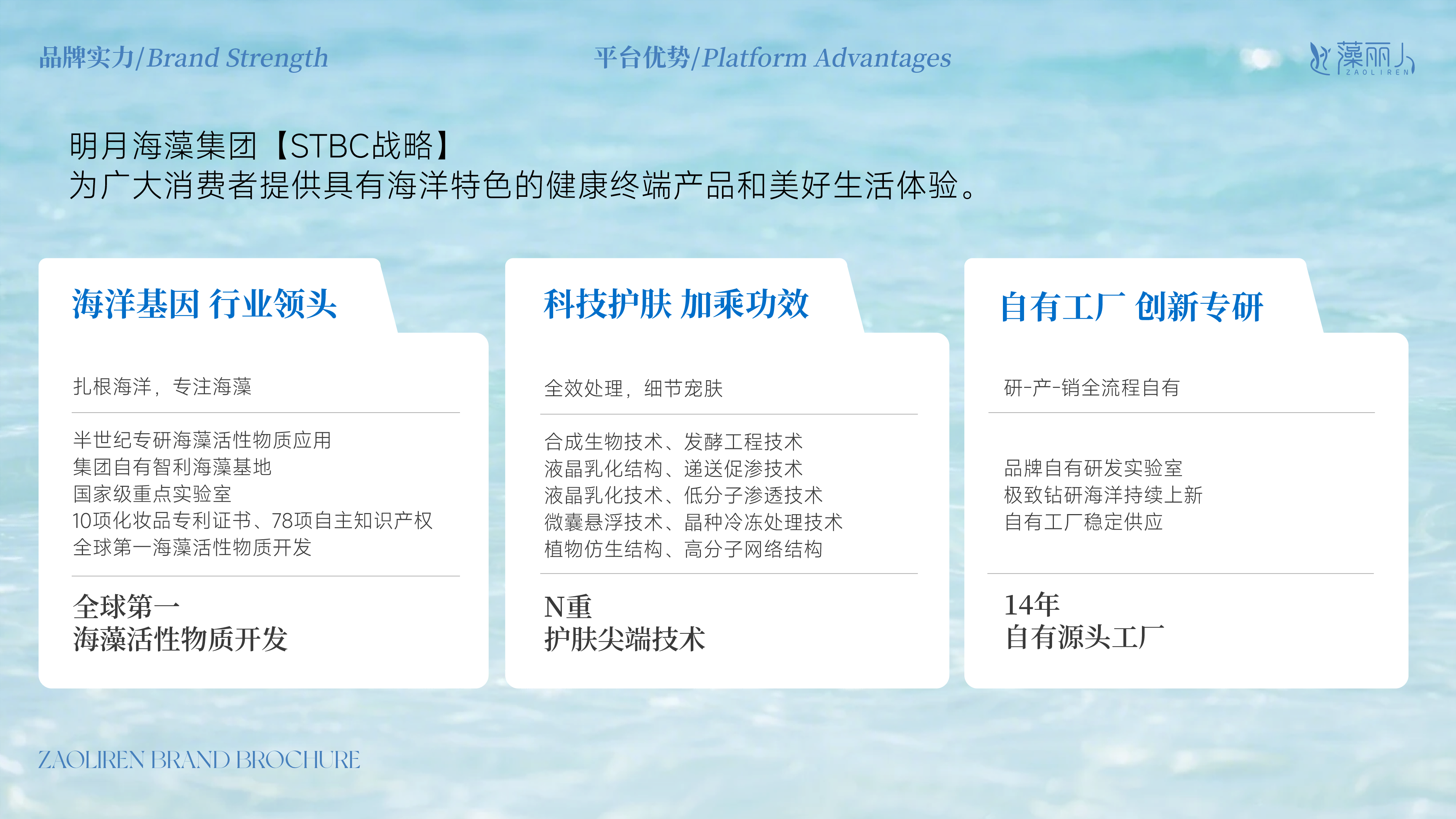 集团平台优势